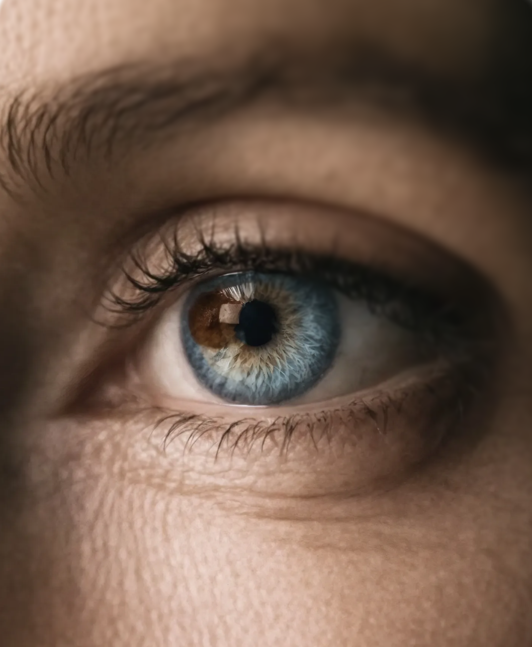 Image of an eye